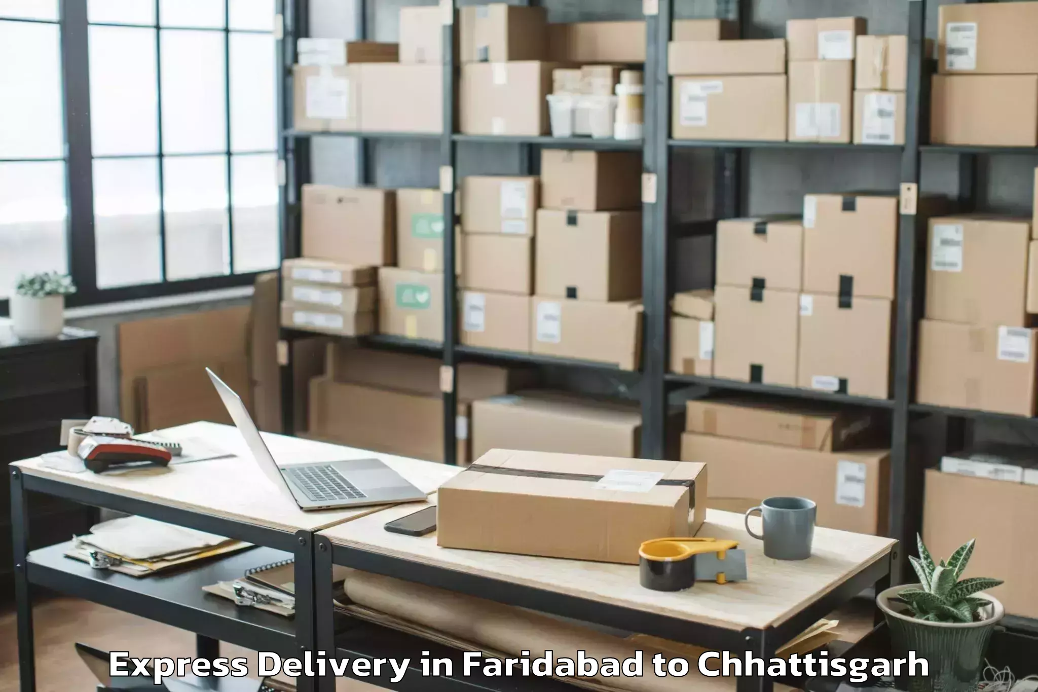 Book Faridabad to Kharora Express Delivery Online